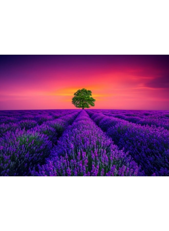 1000 Pieces Of Paper Landscape Jigsaw Puzzle Adult 70*50 High Difficulty Jigsaw Puzzle Gift Decompression Toy Jigsaw Puzzle Factory-Color:GSSQ0035-Provence Lavender 1000 Tablets - Image 1